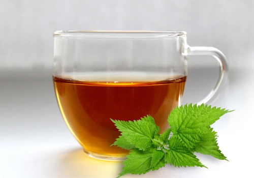 Τσουκνίδα Urtica dioica Ελληνική τσάι