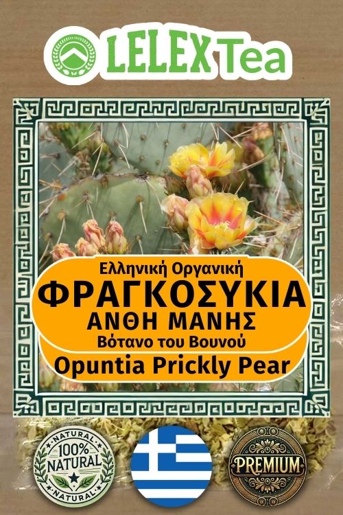 Φραγκόσυκο Άνθη τσάι Φραγκοσυκιάς Μάνης του βουνού LelexTea ΕΛΛΗΝΙΚΟ ΒΙΟΛΟΓΙΚΟ ΒΟΤΑΝΟ ΤΟΥ ΒΟΥΝΟΥ LelexTea