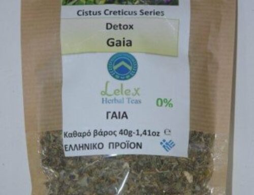 LelexTea: Botanical journey through tasting of GAIA-detox