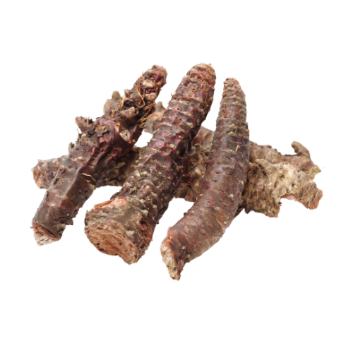 rodiola-dried-no-back