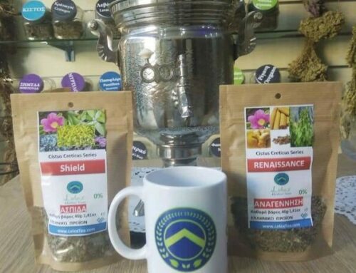 Shield & Renaissance a twin botanical journey