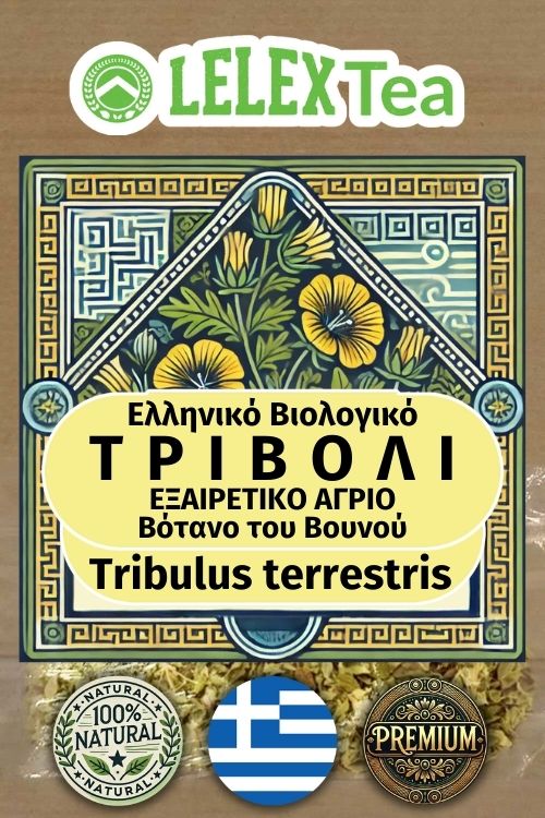 Τριβόλι Premium Tribulus Terrestris Tea του βουνού LelexTea ΕΛΛΗΝΙΚΟ ΒΙΟΛΟΓΙΚΟ ΒΟΤΑΝΟ ΤΟΥ ΒΟΥΝΟΥ LelexTea