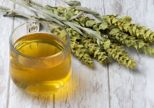 Μαλοτήρα Τσάι της Κρήτης Sideritis Syriaca Βιολογικό του βουνού LelexTea LelexTea