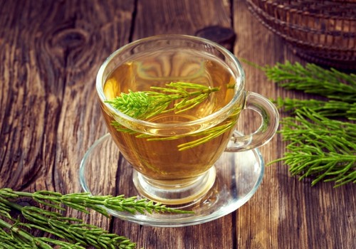 Organic Horsetail Tea BIO Greek Mountain Herb