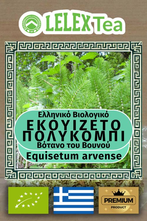 Εκουιζέτο Πολυκόμπι Βιολογικό Equisetum arvense Horsetail bio του βουνού LelexTea ΕΛΛΗΝΙΚΟ ΒΙΟΛΟΓΙΚΟ ΒΟΤΑΝΟ ΤΟΥ ΒΟΥΝΟΥ LelexTea