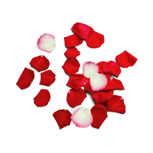 rose-petals