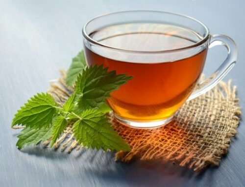 Top 9 Health Benefits of Mint  Peppermint  Teas : Exploring the Refreshing Power of Mentha and Peppermint