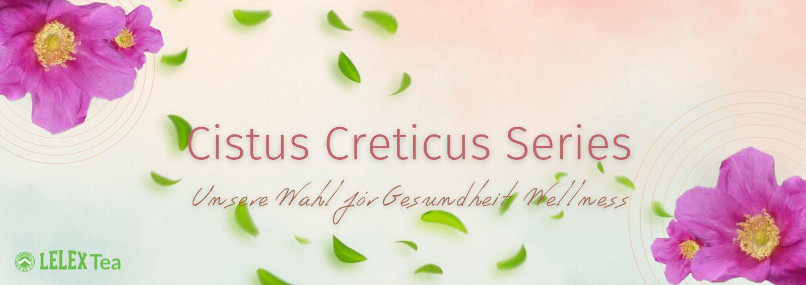 Cistus creticus Serie Incanus Graue Zistrose-Gesundheit