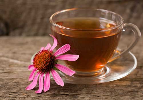 Echinacea Flowers Tea Organic Greek Echinacea Echinacea - Lelex Tea