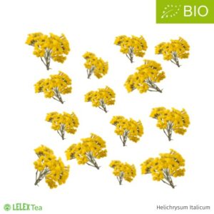 Ελληνικός βιολογικός ελίχρυσος greek organic curry plant helichrysum