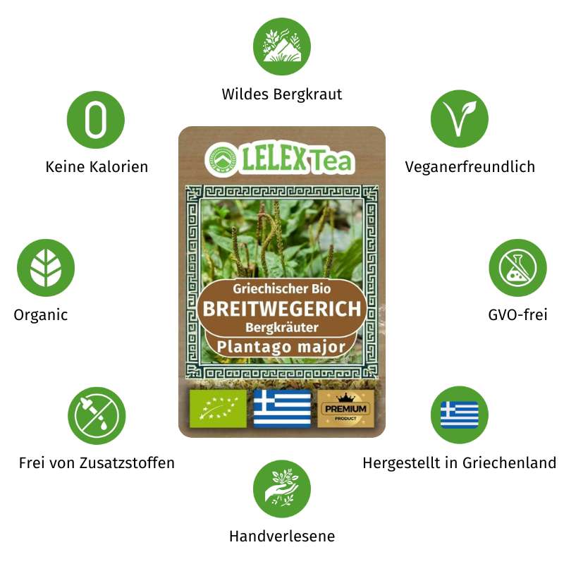 Breitwegerich Tee Griechischer Wilder Bergkräuter - Lelex Tea