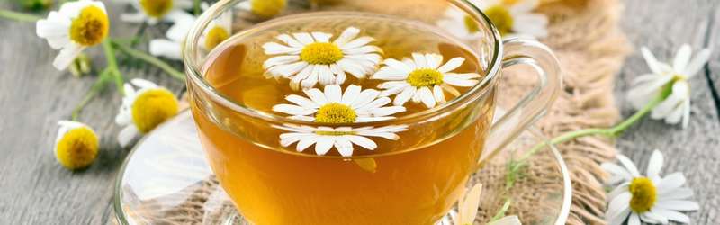 Chamomile Tea 11 and 1 Health Benefits with Camomile