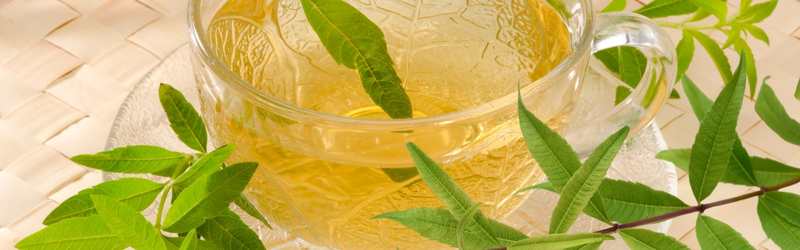 Entdecken Sie, wie Sie die perfekte Tasse Zitronenverbenentee zubereiten - LelexTea