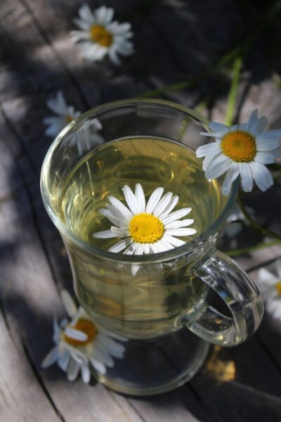 Chamomile Tea 11 + 1 Health Benefits - Homemade chamomile recipes