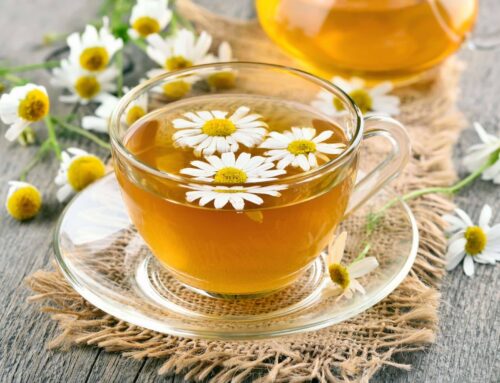 Chamomile Tea Matricaria chamomilla 11 + 1 Health Benefits