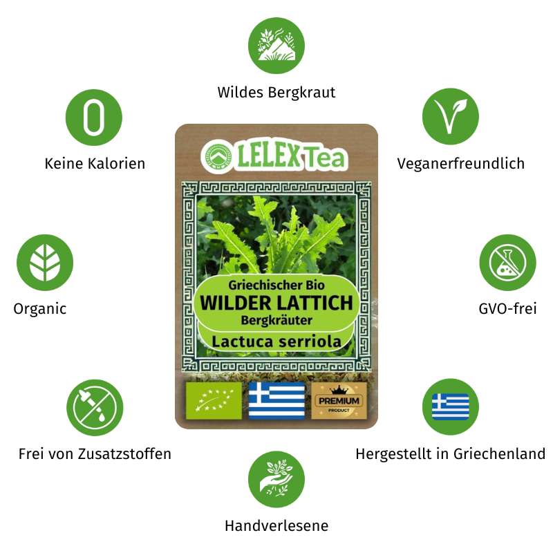 Gewöhnlicher Lattich: Natürliches Schmerzmittel und Gesundheitsförderer, Lactuca Serriola, Wilder Lattich