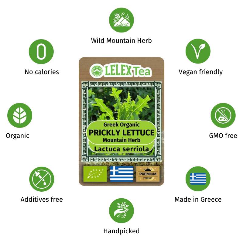Prickly Lettuce: Natural Sleep Aid & Natural Pain Reliever & Health Booster, Wild Lettuce