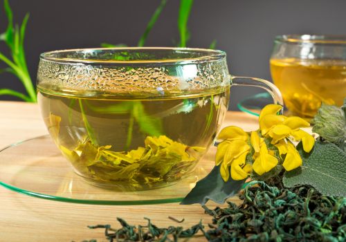 Ασφάκα Phlomis fruticosa LelexTea