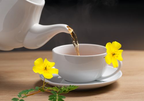 Tribulus Terrestris Fruit Leaves Tea Greek Mountain Herb - Lelex Tea LelexTea