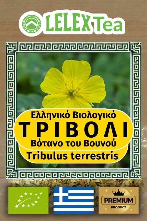 Τριβόλι Τσάι Ελληνικό Βιολογικό βότανο Tribulus Terrestris mountain tea bio του βουνού LelexTea ΕΛΛΗΝΙΚΟ ΒΙΟΛΟΓΙΚΟ ΒΟΤΑΝΟ ΤΟΥ ΒΟΥΝΟΥ LelexTea