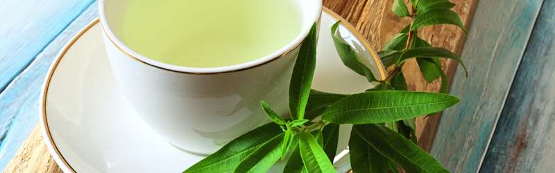 blog-banner-zitronenverbene-7-top-geheimnisse-eigenschaften-vorteile-fuer-die-gesundheit-tee-rezepte-garten-tipps-de Zitronenverbene: 7 Top-Geheimnisse Eigenschaften GesundheitsVorteile | Tee-Rezepte | Gartentipps
