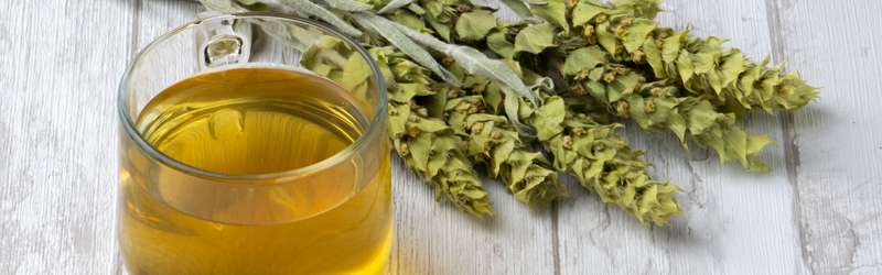 Malotira: Experience the Health Benefits of Cretan Mountain Tea – LelexTea Malotira: Experience the Health Benefits of Cretan Mountain Tea