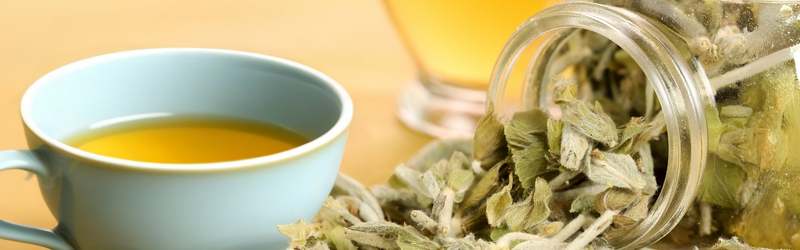 Unlocking the Benefits of Mountain Tea for Wellness