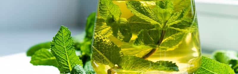 Exploring the Benefits of Spearmint for Health and Well-being