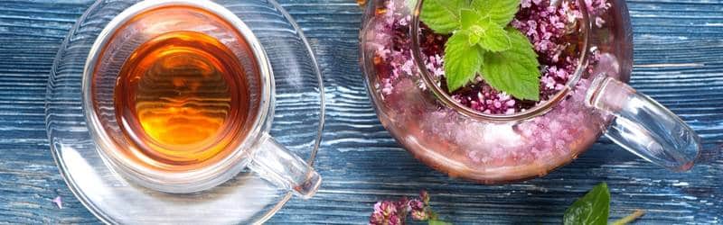 Griechischer Oregano: Enthüllung seiner Wunder | Ein natürliches Geschenk für Wellness Gesundheit