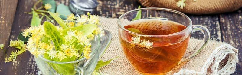 Linden: A Timeless Natural Remedy from Ancient Greece - LelexTea