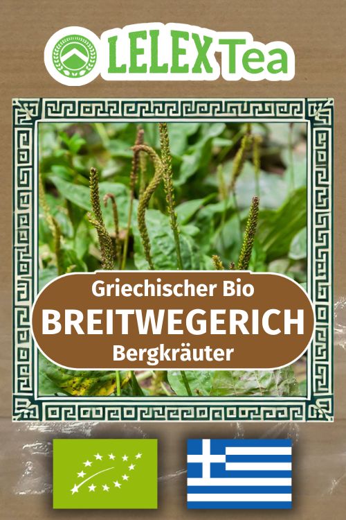 BIO Breitwegerich Tee Griechischer Wilder Bergkräuter - Lelex Tea