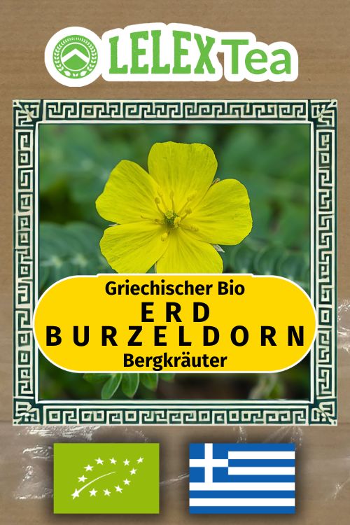 Bio Griechischer Tribulus Terrestris | Erd-Burzeldorn Tee - Lelex Tea