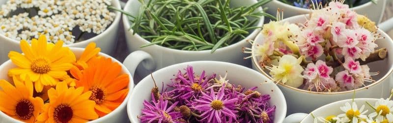 blog-banner-aimorroides-fysikes-therapeies-kai-votana-gia-amesi-anakoufisi-gr-2 Αιμορροΐδες: Φυσικές Θεραπείες και Βότανα για Άμεση Ανακούφιση - LelexTea