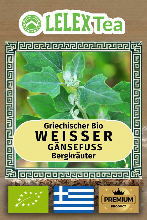 Chenopodium Album Tee | Gänsefußkraut | Wild Gesammelter Weiße Gänsefuß