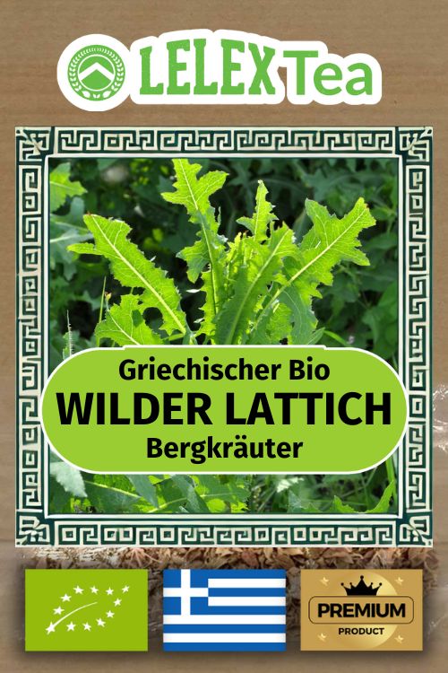 Gewöhnlicher Lattich: Natürliches Schmerzmittel und Gesundheitsförderer, Lactuca Serriola, Wilder Lattich