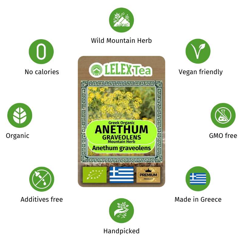 Organic Dill Herb Tea – Wild-Harvested Anethum graveolens