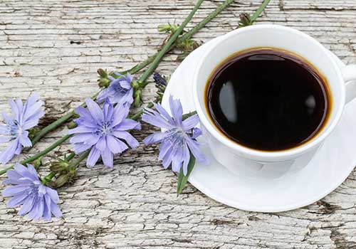 Chicorée-tee – Blauer Löwenzahn, Wildgeerntet, Koffeinfreie Verdauungsunterstützung