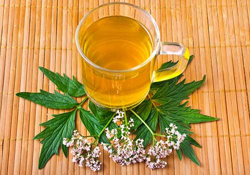 Valeriana officinalis Tea – Organic Greek Valerian Root Herb for Sleep & Anxiety Relief