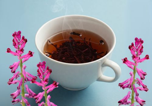 Fumitory Discover the Detoxifying Benefits of Fumaria officinalis - LelexTea