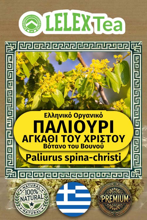 Παλιούρι Τσάι Paliurus Spina-Christi: Το Στέμμα της Υγείας - Ελληνικό Οργανικό Βότανο ΕΛΛΗΝΙΚΟ ΒΙΟΛΟΓΙΚΟ ΒΟΤΑΝΟ ΤΟΥ ΒΟΥΝΟΥ LelexTea