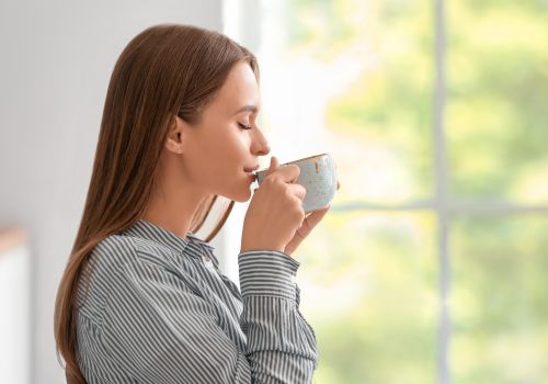 PREMIUM GRIECHISCHES BERGKRAUT Ägäischer Antioxidativer Tee - Premium Griechische Bergkräuter LelexTea