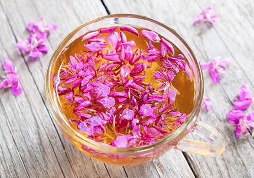 Επιλόβιο Οργανικό Τσάι - Epilobium angustifolium | Βότανο Ελληνικό του βουνού για Φυσική Ευεξία