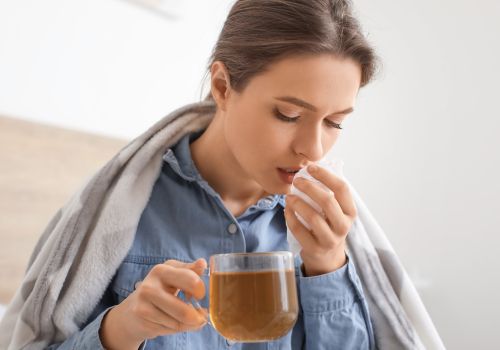 PREMIUM GRIECHISCHES BERGKRAUT Kräutermischung zur Schleimlösung | Kräutertee für die Atemwege – Jetzt online kaufen - LelexTea