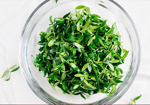 Myrtle Tea from Greek Mountains – Natural & Organic Wellness for Digestion & Respiratory Health