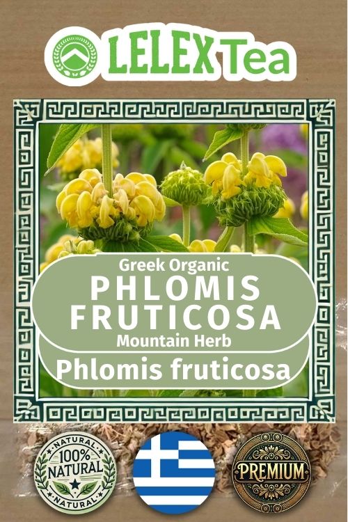 Phlomis Fruticosa Jerusalem Sage
