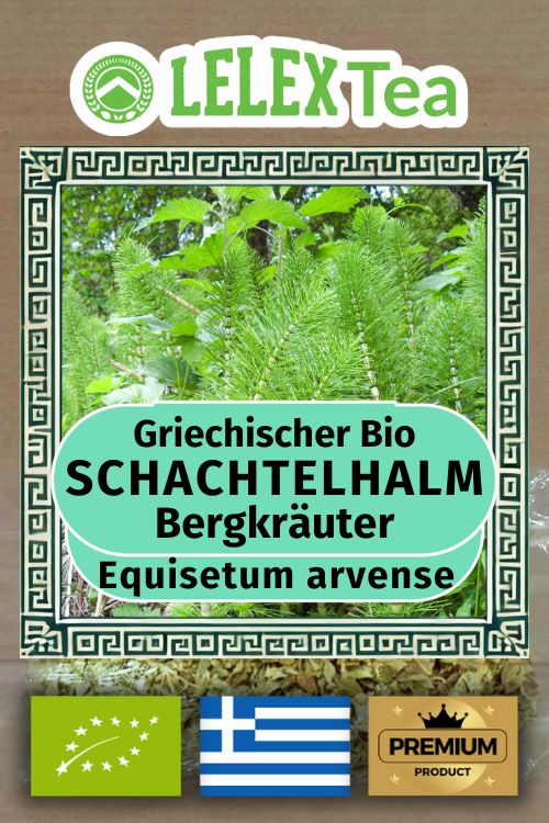 Equisetum Organisch