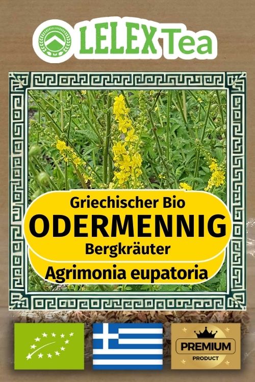 Odermennig