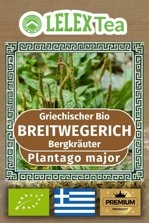 Bio Griechischer Wilder Breitwegerich Tee Bergkräuter