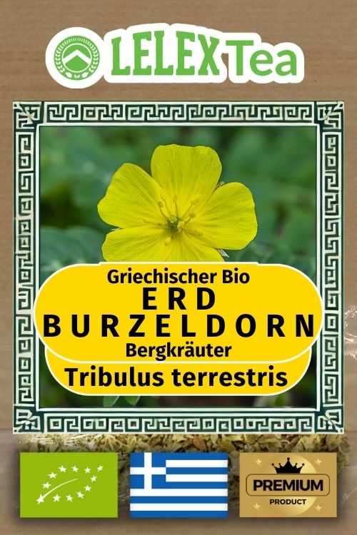 Erd Burzeldorn Tribulus Terrestris organisch