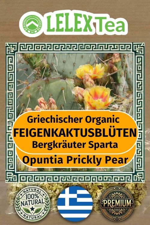 Kaktusfeigenblüten von Mani-organisch